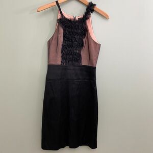 BCBG MazAzria Silk Dress Knee Length Sleeveless Ruffle Womens 0 Pink Black Party